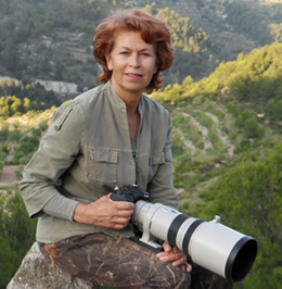 Anneray Westerling