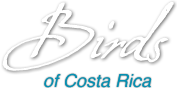 Birds of Costa Rica
