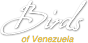 Birds of Venezuela