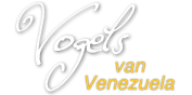 Birds of Venezuela